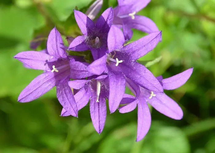 Penzion Chambres D'hotes Domaine Du Hameau Baylesse