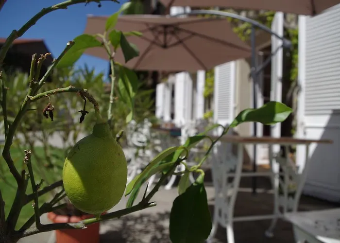 Penzion Chambres D'hotes Domaine Du Hameau Baylesse Saint-Jean-d'Aigues-Vives