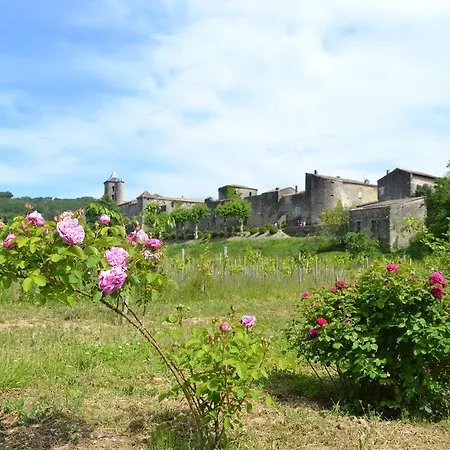 D'hotes Domaine Du Hameau Baylesse Affittacamere Saint-Jean-d'Aigues-Vives