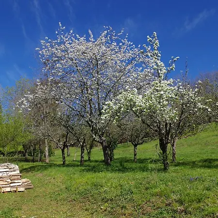 Affittacamere D'hotes Domaine Du Hameau Baylesse