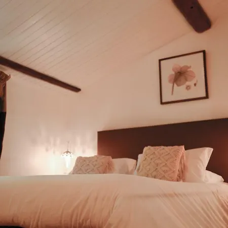 Affittacamere D'hotes Domaine Du Hameau Baylesse Saint-Jean-d'Aigues-Vives