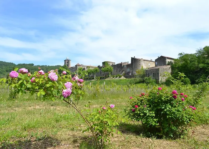 Chambres D'hotes Domaine Du Hameau Baylesse 게스트하우스 Saint-Jean-d'Aigues-Vives