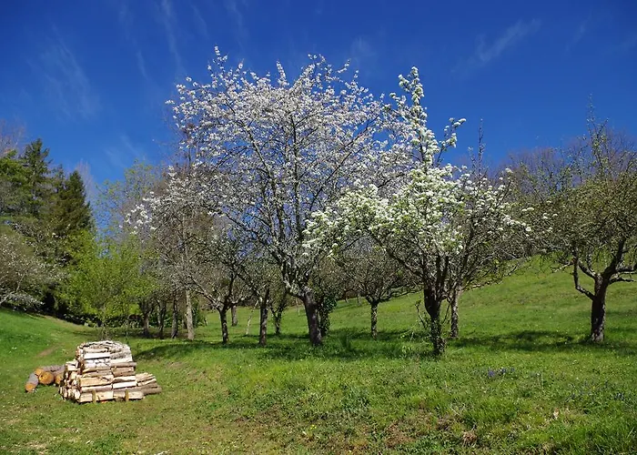 게스트하우스 Chambres D'hotes Domaine Du Hameau Baylesse