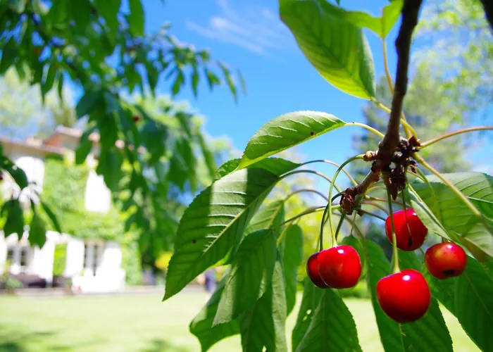Chambres D'hotes Domaine Du Hameau Baylesse Saint-Jean-d'Aigues-Vives